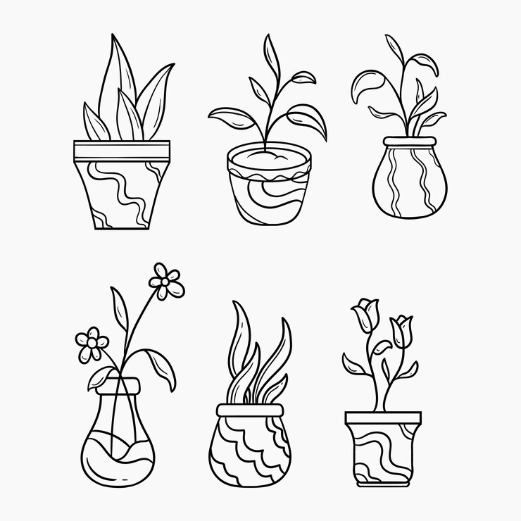 set of hand drawn illustrations potted plants with various designs vector