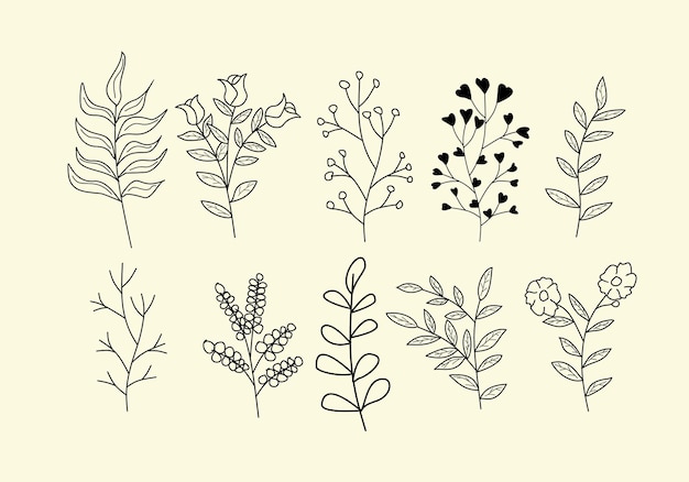 Vector set of hand drawn leaf and flower icons design for invitation ornament cover spring banner