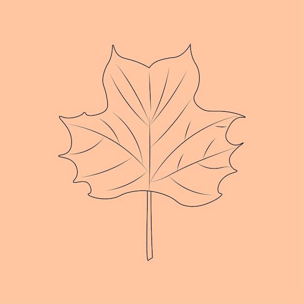 Set di contorni di foglie disegnati a mano illustrazione vettoriale sullo sfondo autunnale