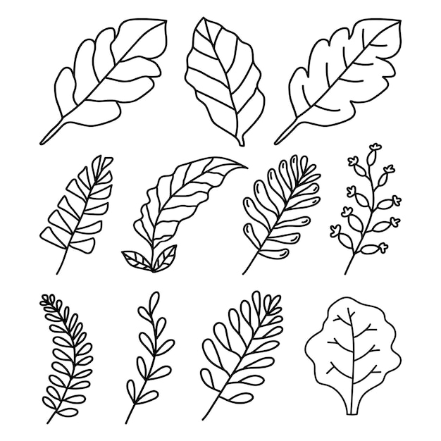 Set of hand drawn leaf vector