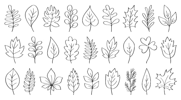 set of hand drawn leaves doodle design elements