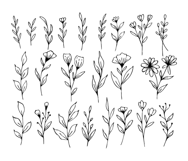 A set of hand drawn leaves and flowers on a white background