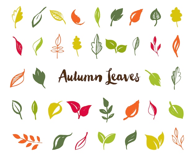 Set of hand drawn leaves, green leaf, sketches and doodles of leaf and plants, green leaves vector collection