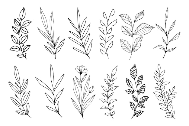 Vector set of hand drawn line art leaf clipart premium vector