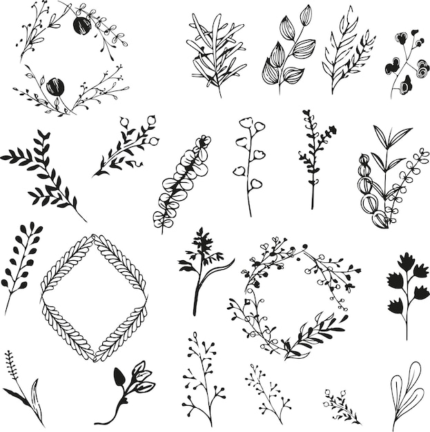 Set of hand drawn linear pattern leaves and branches