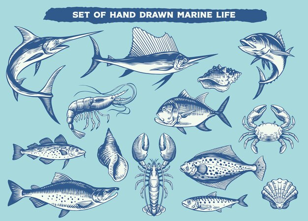 Vector set of hand drawn marine life animals