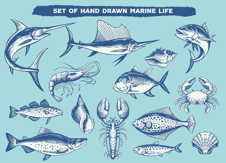 Vector set of hand drawn marine life animals