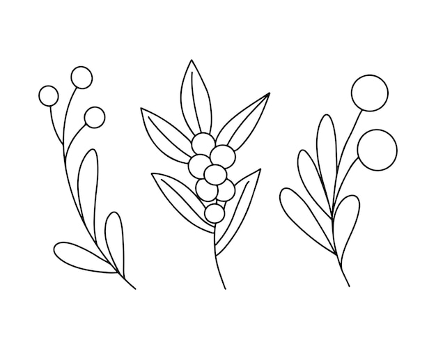 Set of Hand drawn minimalist branch with berries and leaves Black contour line outline collection