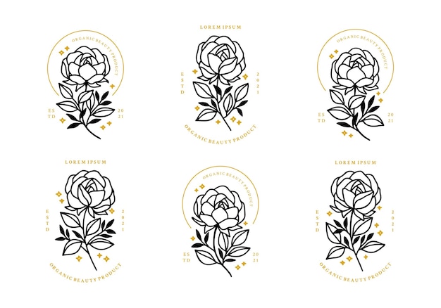 Set of hand drawn minimalistic rose flower, peony, and leaf logo elements