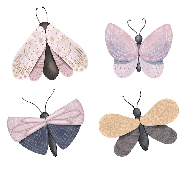 Set of hand drawn moths illustration isolated elements on white background