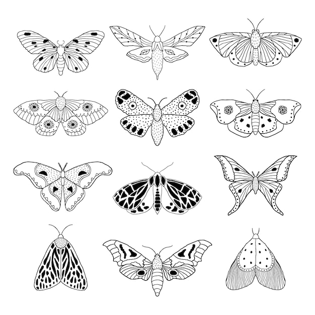 Vector set of hand drawn moths