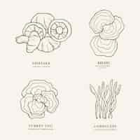 Vector set of hand drawn mushrooms. shiitake, turkey tail, cordyceps, reishi