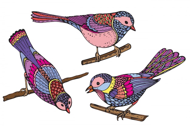 Набор рисованной богато украшенных птиц. Красивая красочная иллюстрация