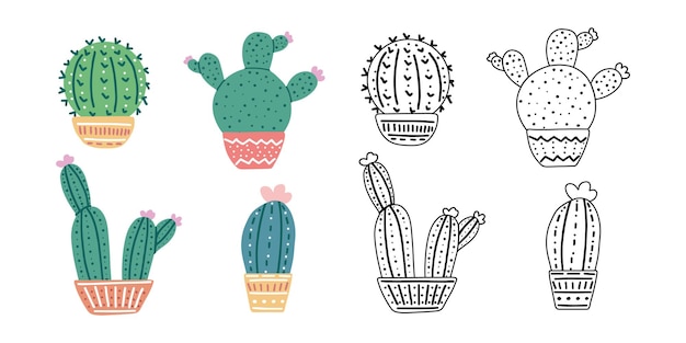 Set di contorni disegnati a mano e cactus vettoriali colorati su sfondo bianco doodle e stile piatto