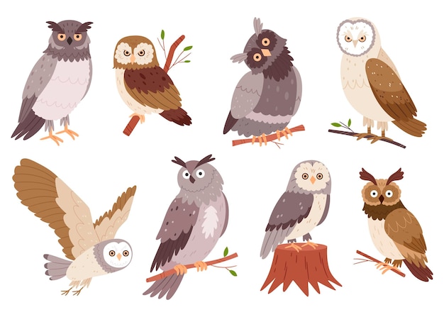 Vector set of hand drawn owlswild forest birds flying creatures elements for ornithology book flat design