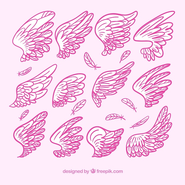 Set of hand-drawn pink wings