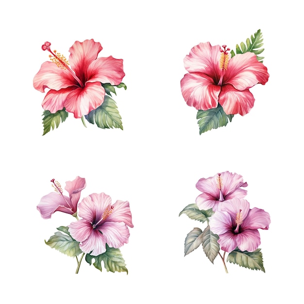 Vector set of hand drawn red blossom hibiscus flowers watercolor tropical hibiscus flower