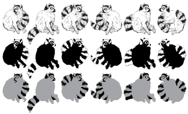 Set of Hand drawn Ringtailed lemur