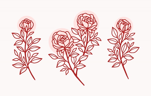 Set di logo fiore rosa disegnato a mano