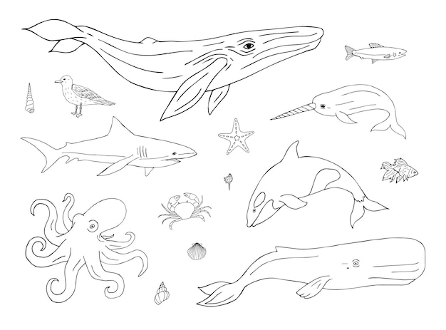 Vector set of hand drawn sea animals and fish