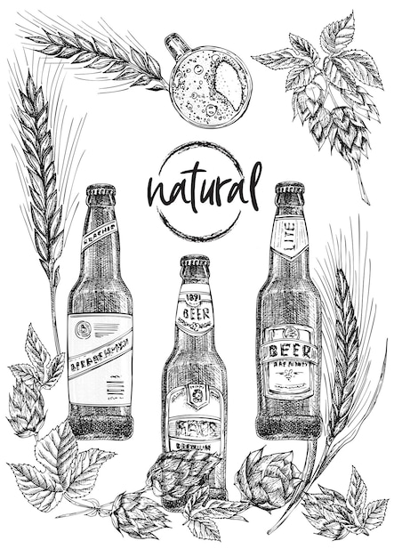 Set hand drawn sketch bottle and glasses beer hop wheat Vintage design bar restaurant cafe menu on white background Graphic vector art Creative template for flyer banner poster