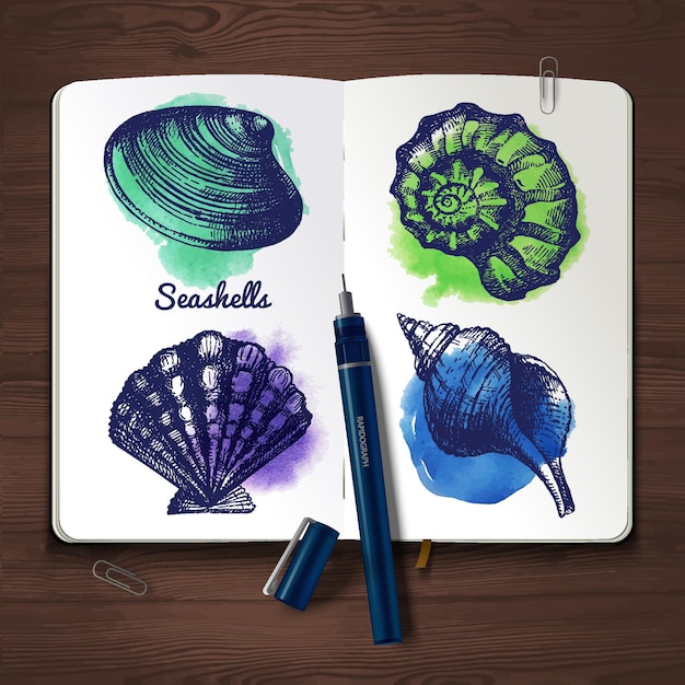 Vector set of hand drawn sketch and watercolor seashells. sketchbook paper on wooden background. vector illustration