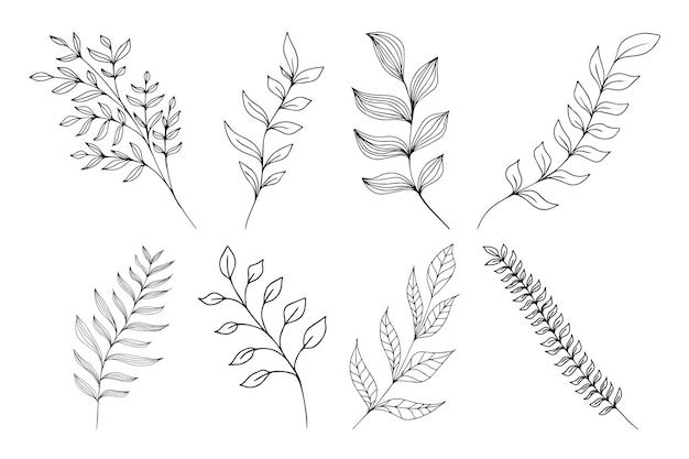 Vector set of hand drawn stems with leaves