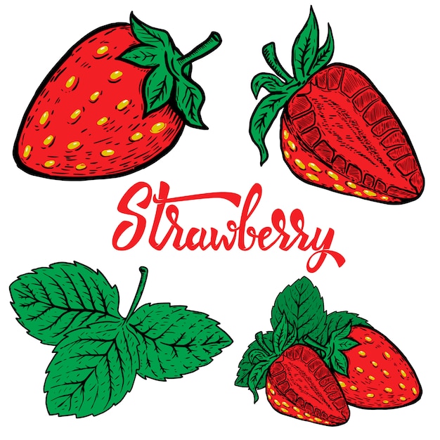 Set of Hand drawn strawberry.  elements for logo, label, emblem, sign, poster, menu.  illustration.