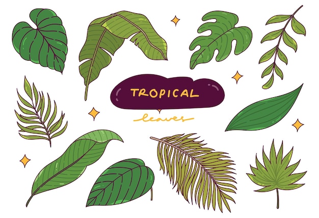 Set of Hand Drawn Tropical Leaves Doodle Design Element