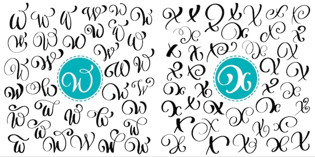 Set of hand drawn vector calligraphy letter w x script font isolated letters written with ink