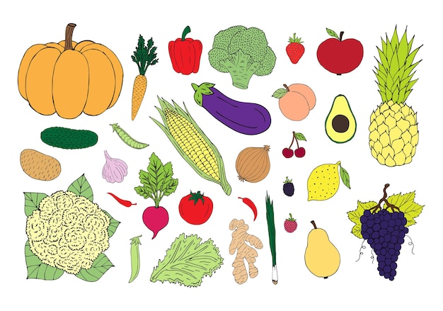 Set of hand drawn vegetables fruit and berries