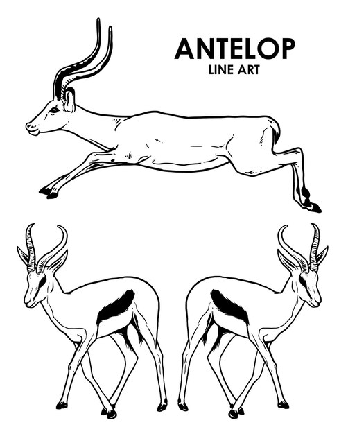 Set of hand drawn vintage antelop premium vector