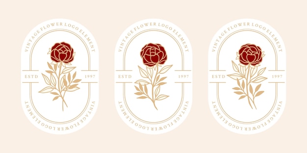 Vector set of hand drawn vintage botanical rose flower and leaf branch elements for feminine logo and beauty brand