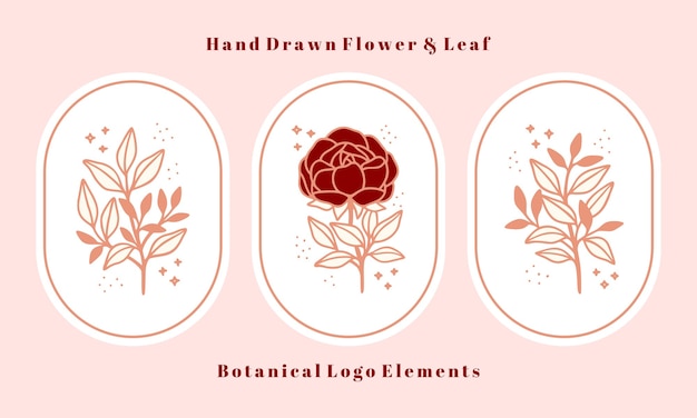 Set di disegnati a mano vintage rosa botanico peonia fiore e foglia ramo elementi