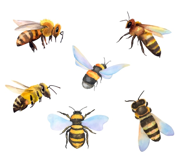 Set of hand drawn watercolor flight bumblebees isolated on white background