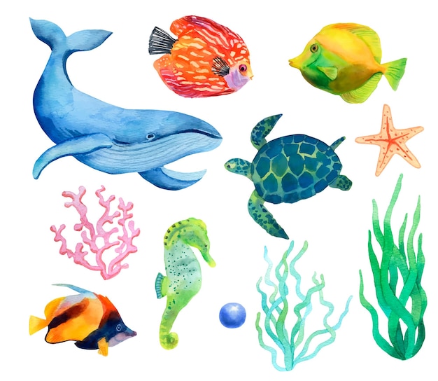 Set of hand drawn watercolor marine animals and algae