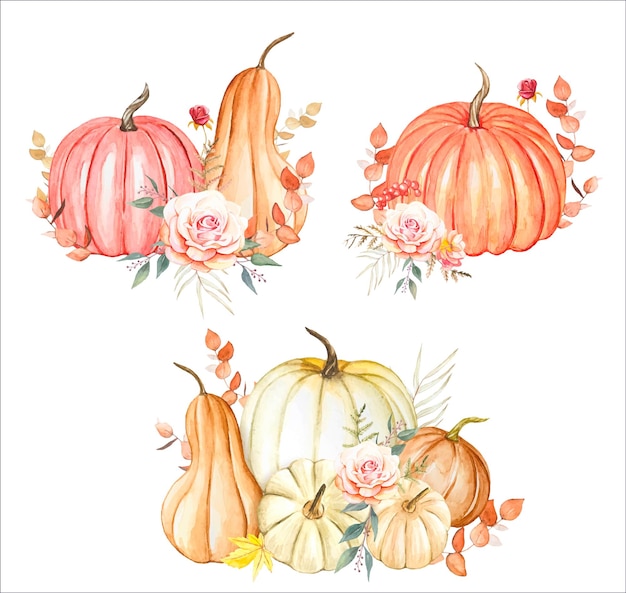 Insieme dell'illustrazione di autunno delle zucche dell'acquerello disegnato a mano