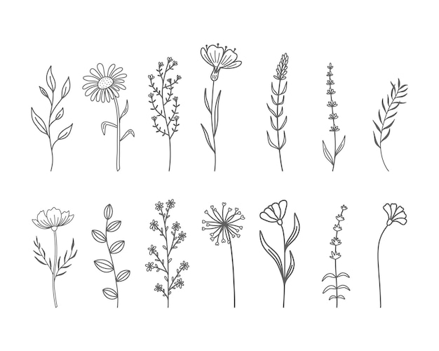 Vector set of hand drawn wildflowers and herbs.