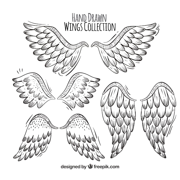 Vector set of hand-drawn wings with great designs