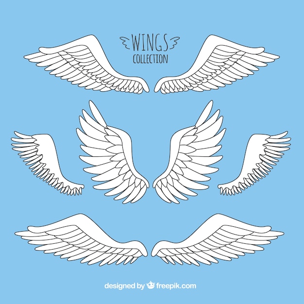 Vector set of hand drawn wings