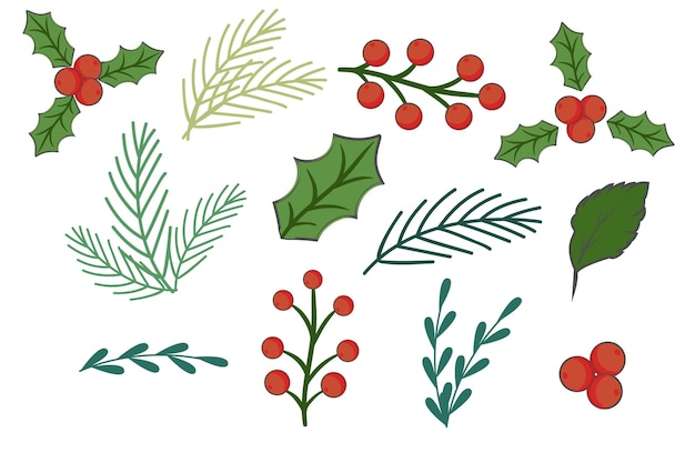 Vector set of hand drawn winter botany elements isolated on white background branches berries and holly