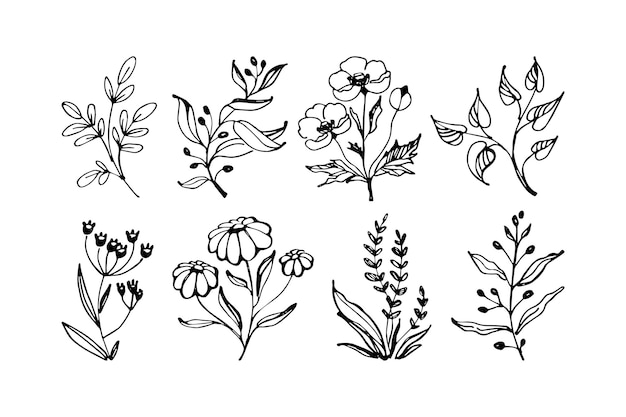 Set hand getrokken bloemen vector met bladeren, bloemen en takken. floral schets collectie. vector illustratie. vlak.