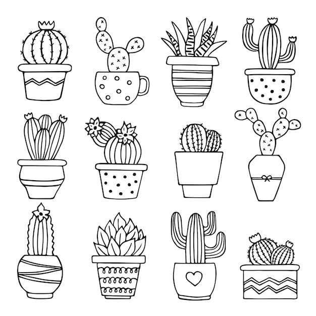 Set hand getrokken cactus doodle.