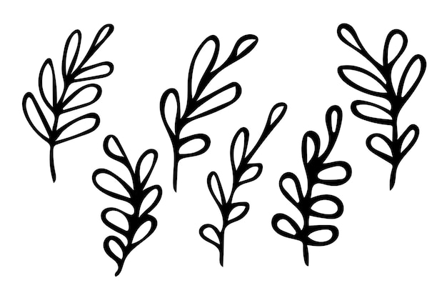 Set hand getrokken schets bladeren, zwarte botanische illustraties geïsoleerd op een witte achtergrond. Doodle