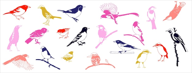 Set hand getrokken schets zwart-wit vogels Vector illustratie geïsoleerd object