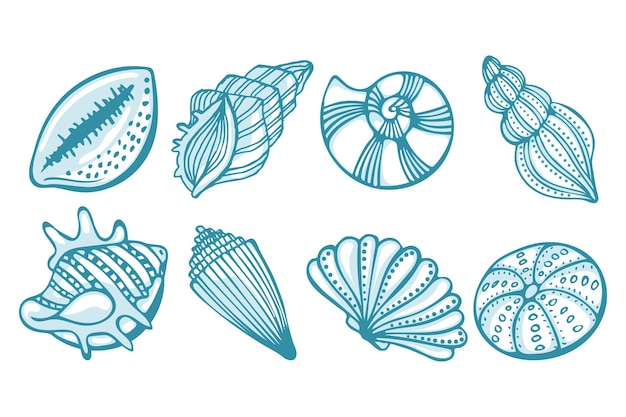 Set of hand painted sea shells Illustration of blue seashells on a white background