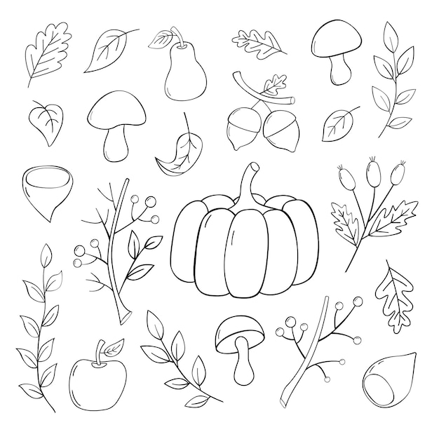 A set of handdrawn autumn doodles with pumpkin chestnuts acorns leaves mushrooms fruits and berries