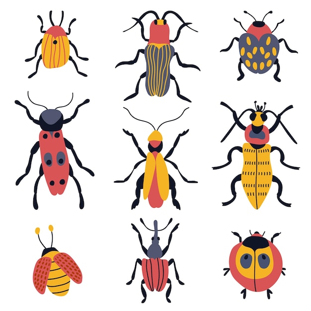 手描きのカブトムシのセット