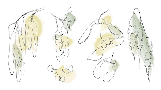 Vector set of handdrawn branches with leaves seeds and catkins