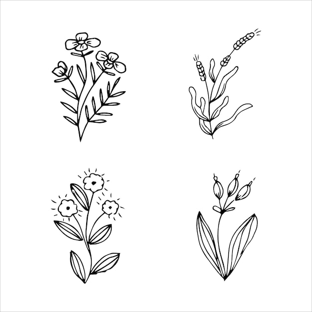 Set of handdrawn doodle plant elements for floral design concept